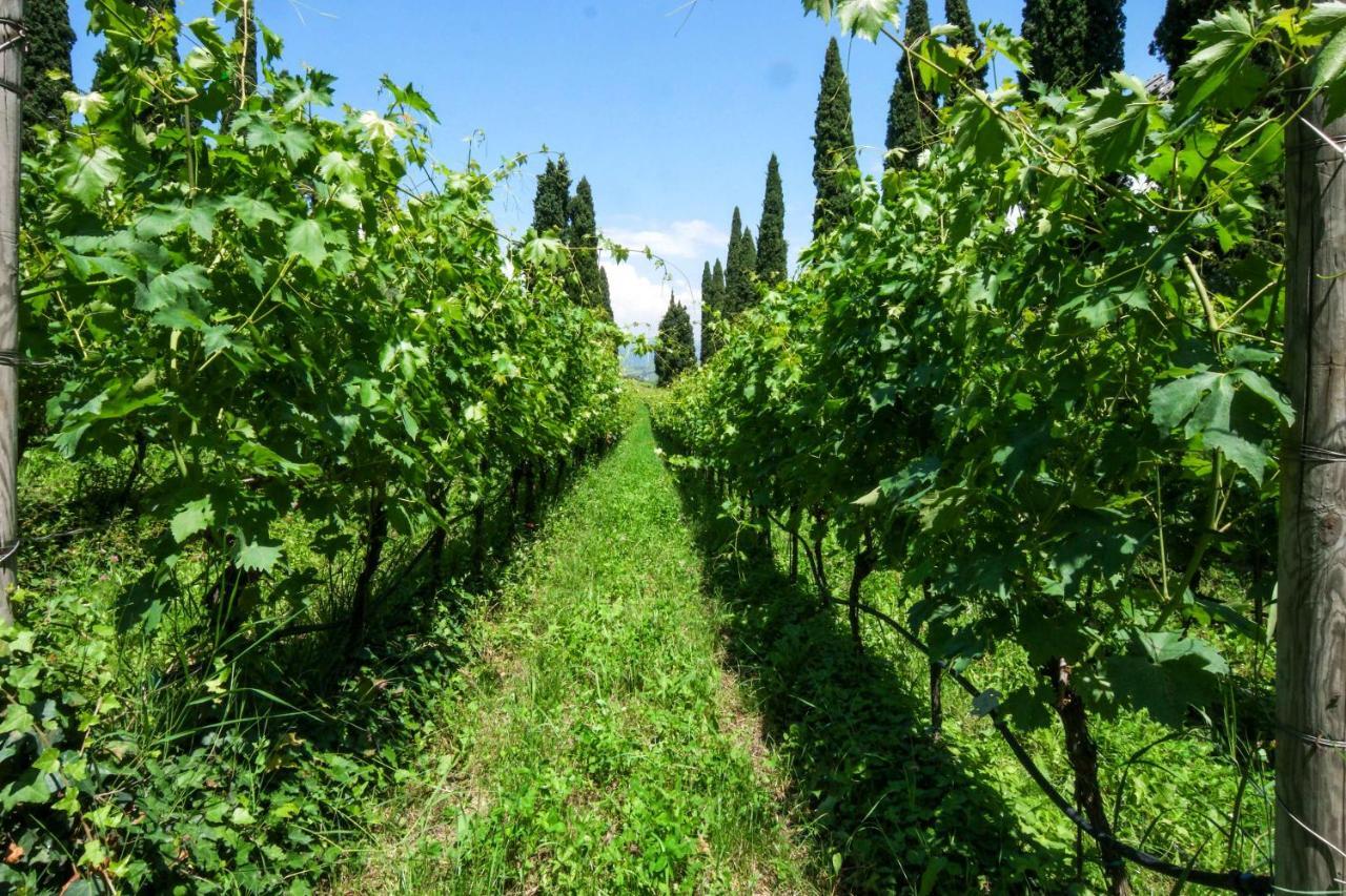 Villa Betteloni Valpolicella Suites San Pietro in Cariano Bagian luar foto