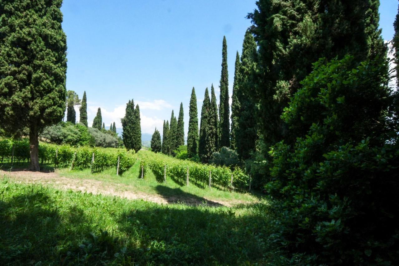 Villa Betteloni Valpolicella Suites San Pietro in Cariano Bagian luar foto